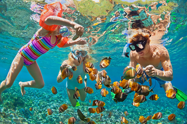 Public Snorkeling Trip ggt